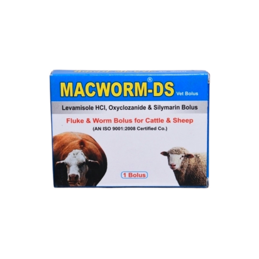 Macworm DS